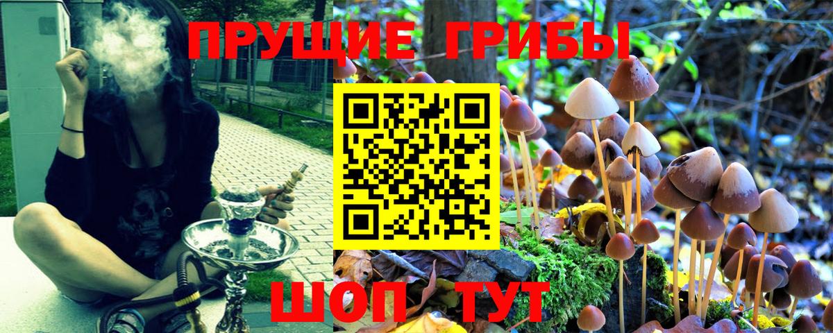 Галлюциногенные грибы MAGIC MUSHROOMS Туапсе