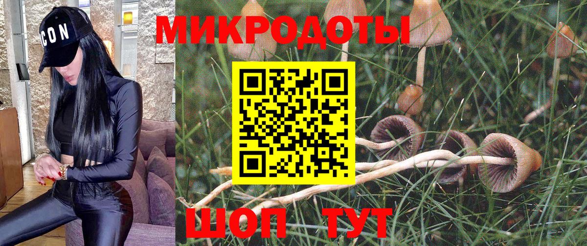 Галлюциногенные грибы MAGIC MUSHROOMS  Вход с VPN  Туапсе  Псилоцибиновые грибы Psilocybine cubensis 